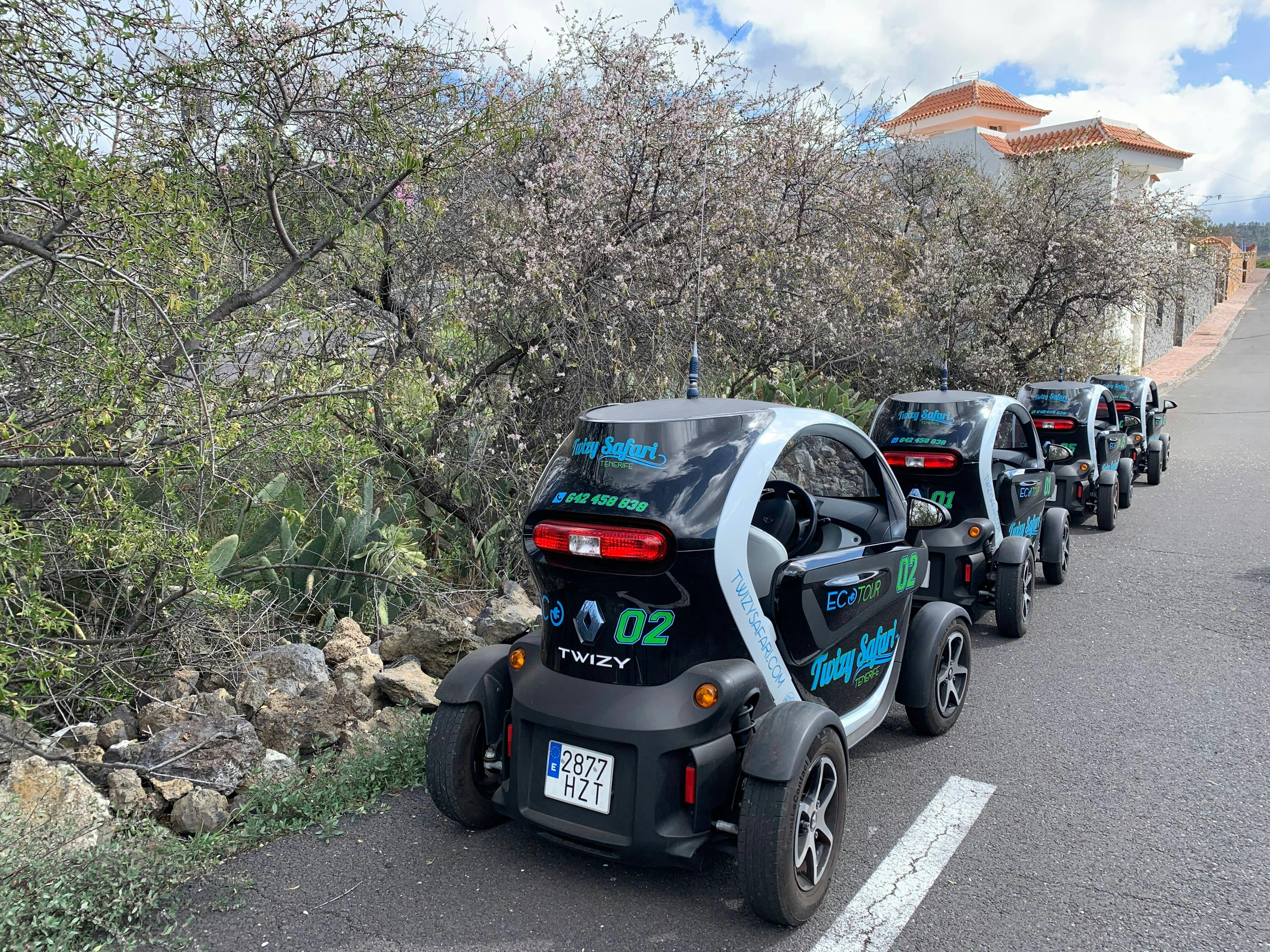 Twizy Safari Tenerife Tour for One