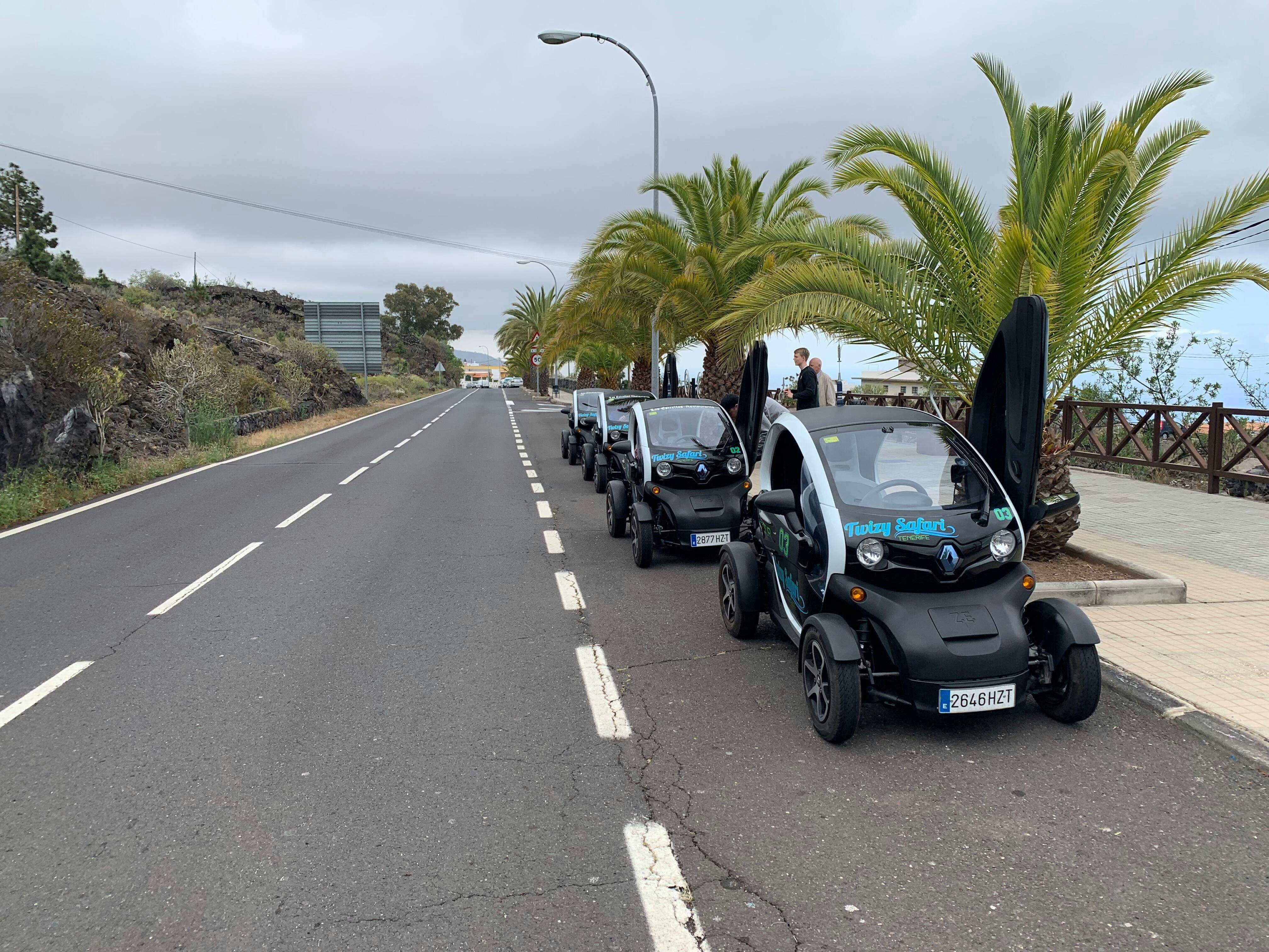 Twizy Safari Tenerife Tour for One