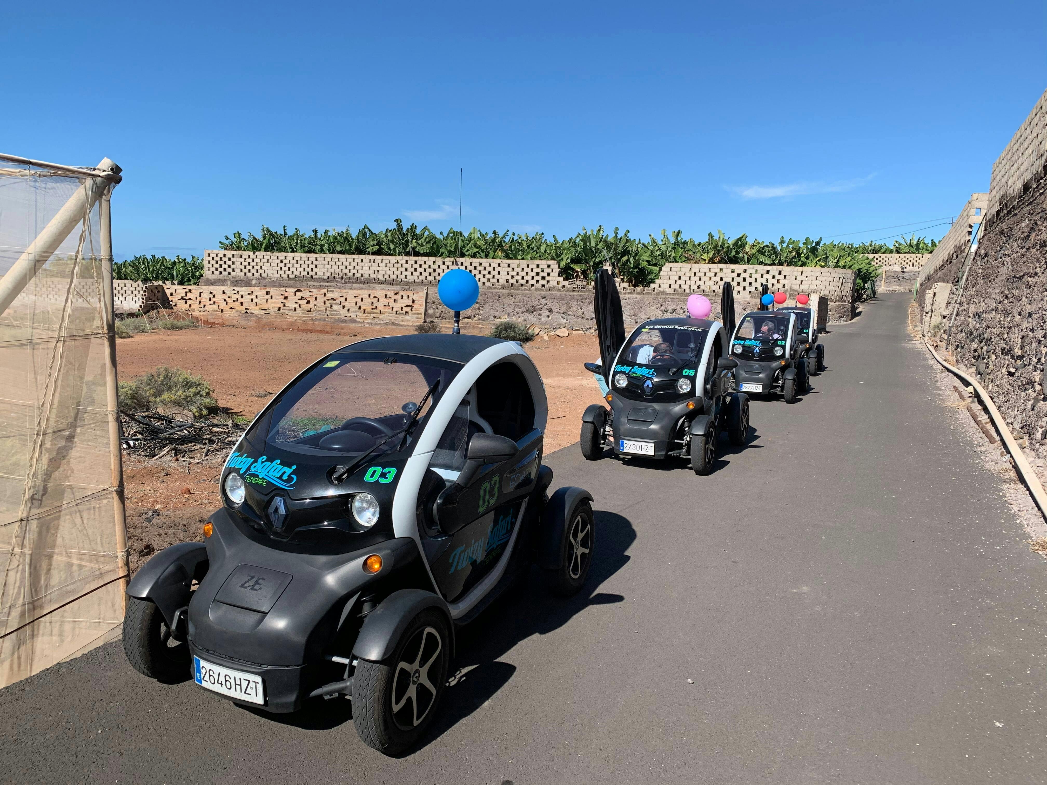 Twizy Safari Tenerife Tour for One