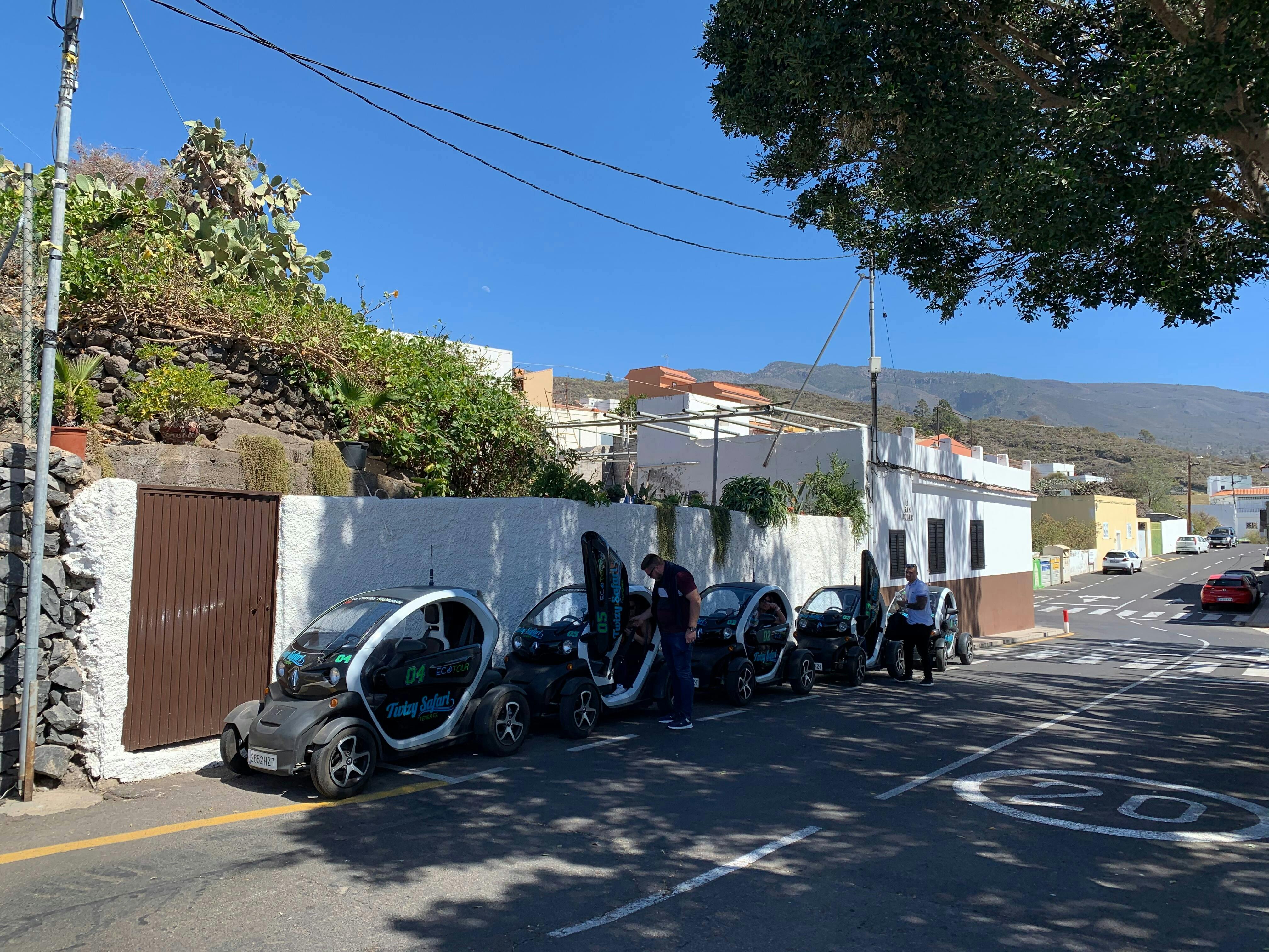 Twizy Safari Tenerife Tour for One