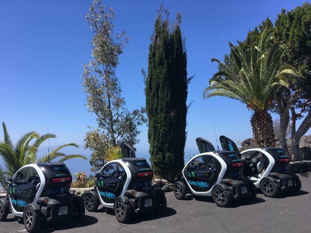 Twizy Safari Tenerife Tour for One