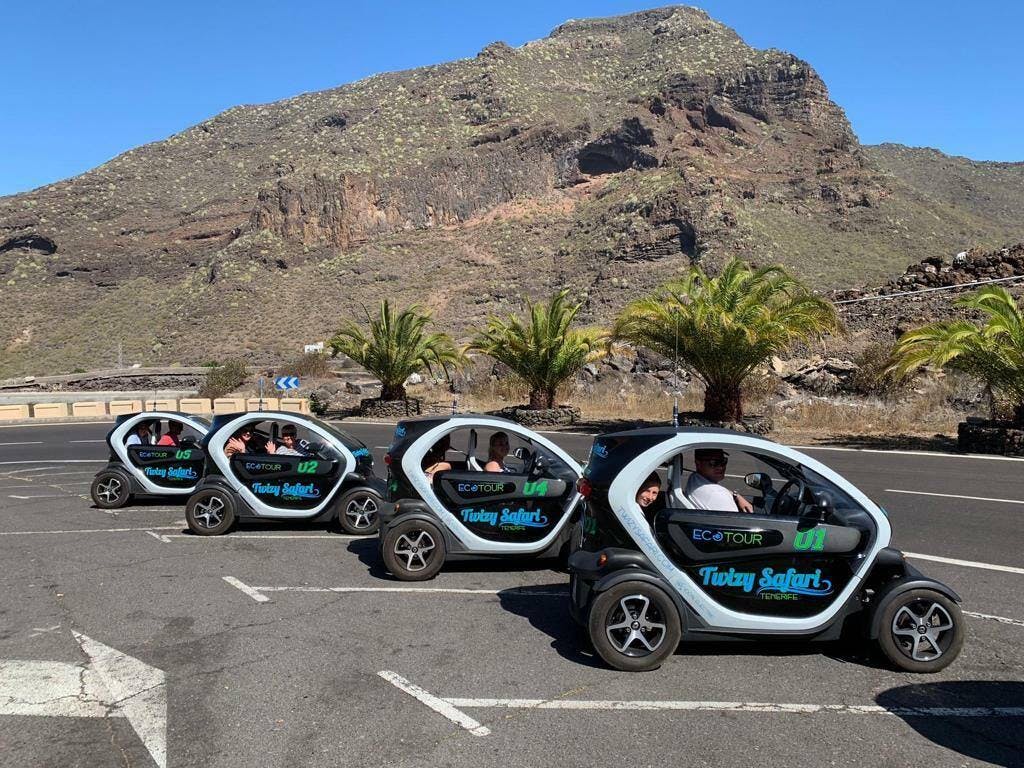 Twizy Safari Tenerife Tour for One