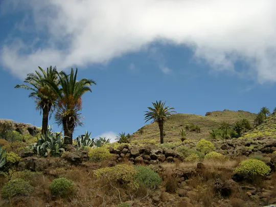 Caminhada até La Fortaleza