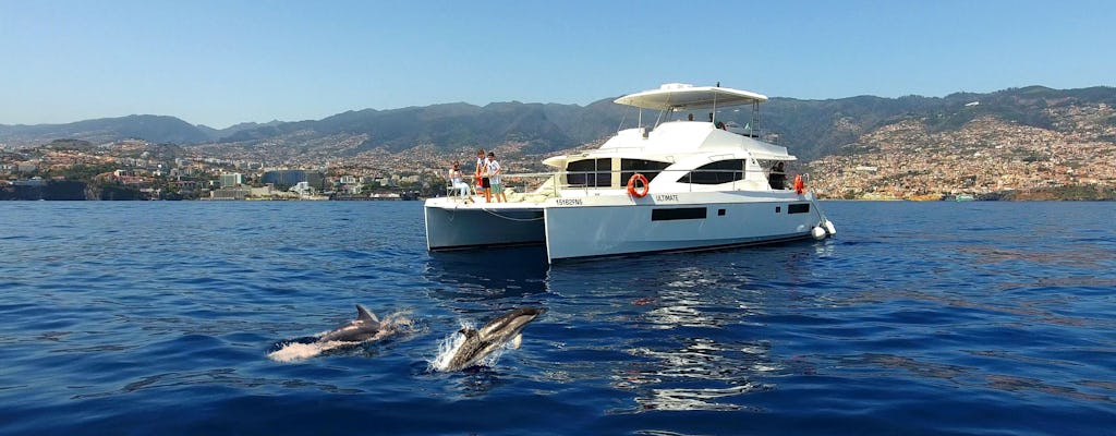 Madeira VIP Whale & Dolphin Watching Cruise