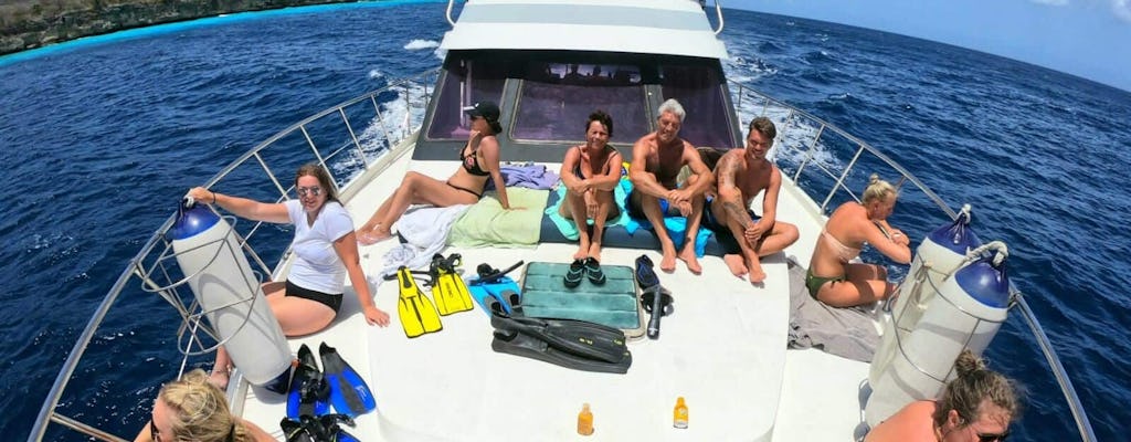 Tugboat & Blue Room Snorkel Tour