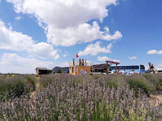 Turkey's Lavender Fields Tour