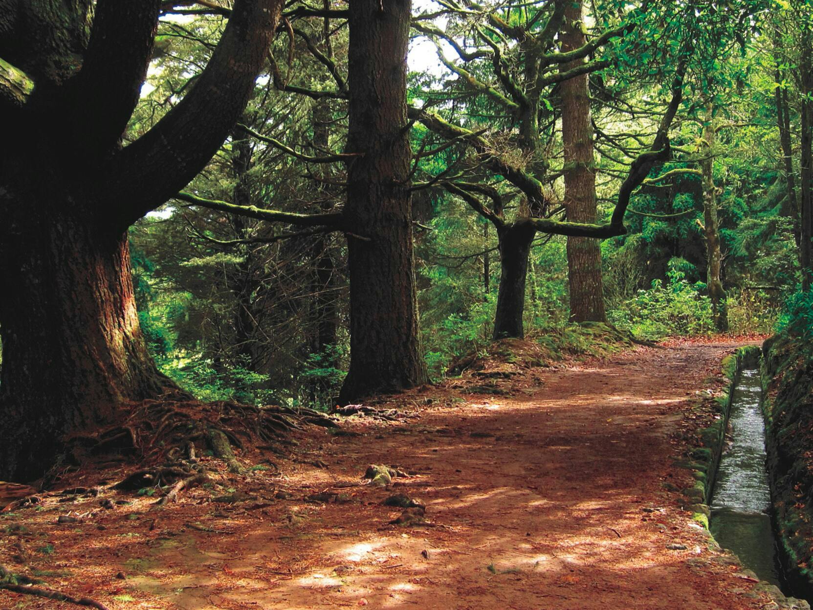 Caldeirão Verde Walk (from the West)