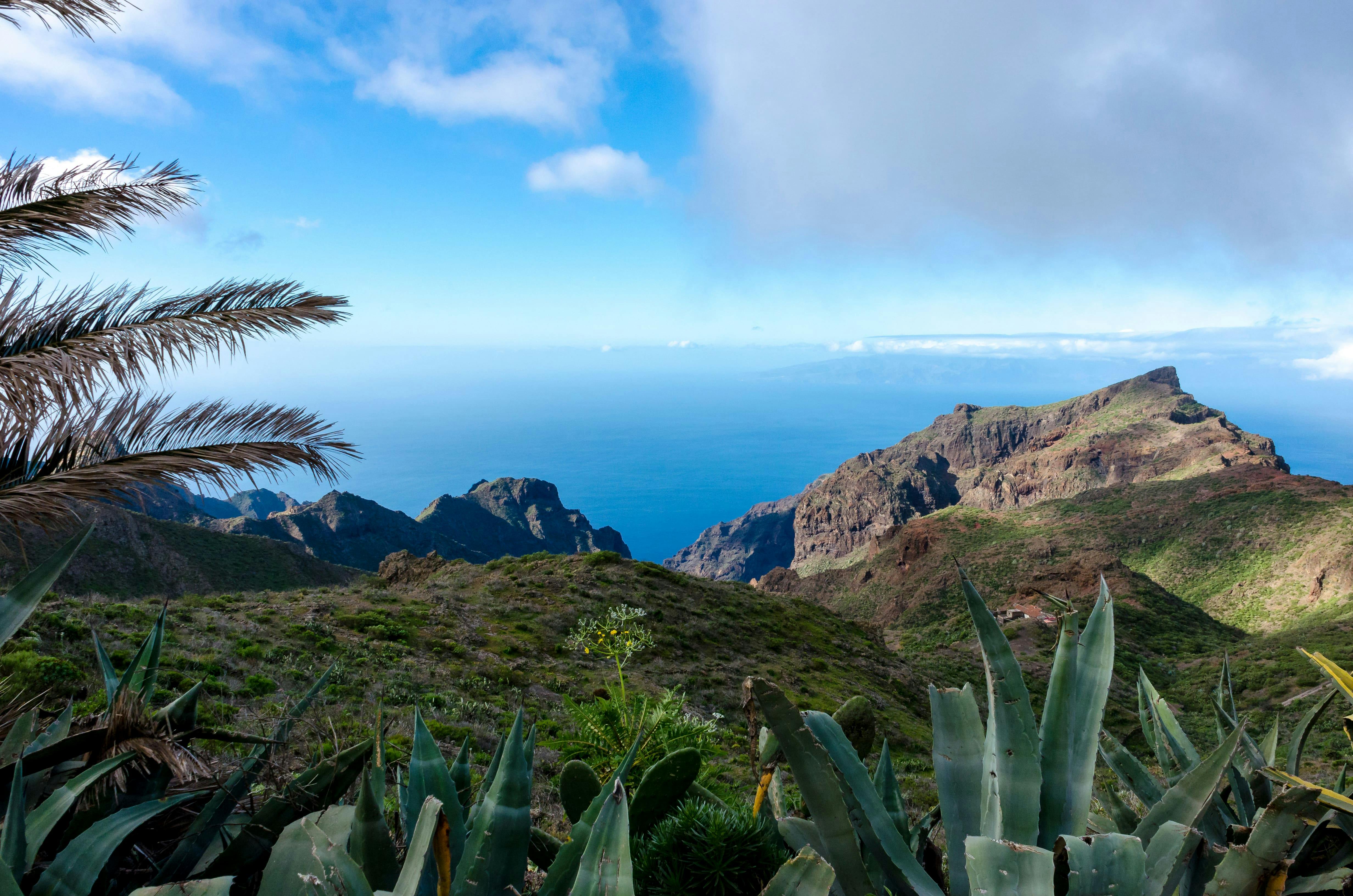 tenerife private tour