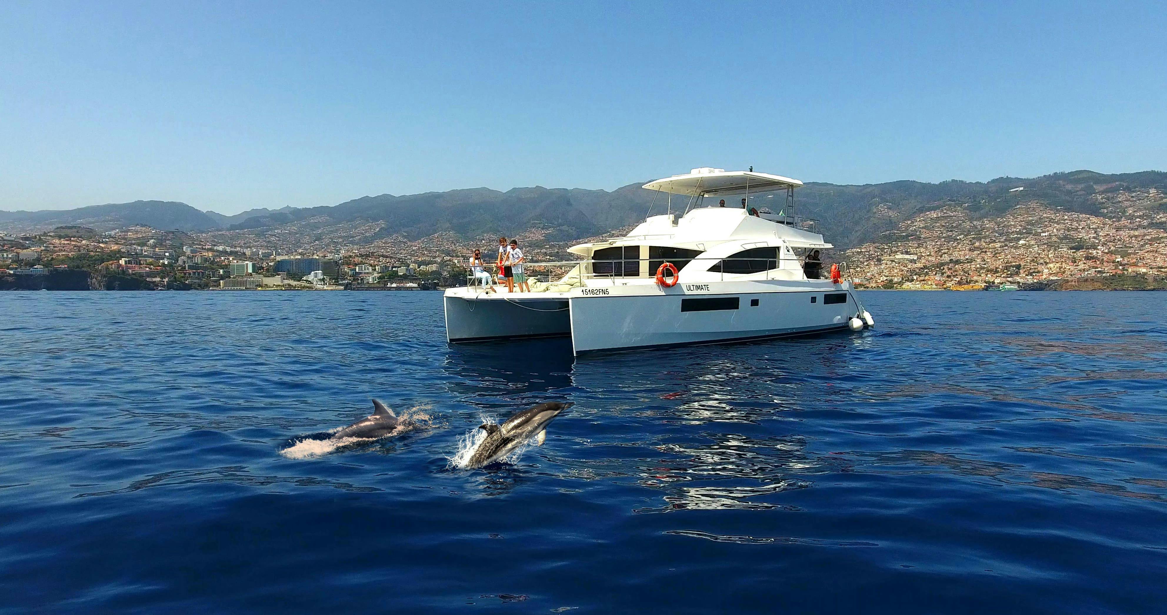 Croisière VIP d'observation des baleines et des dauphins à Madère