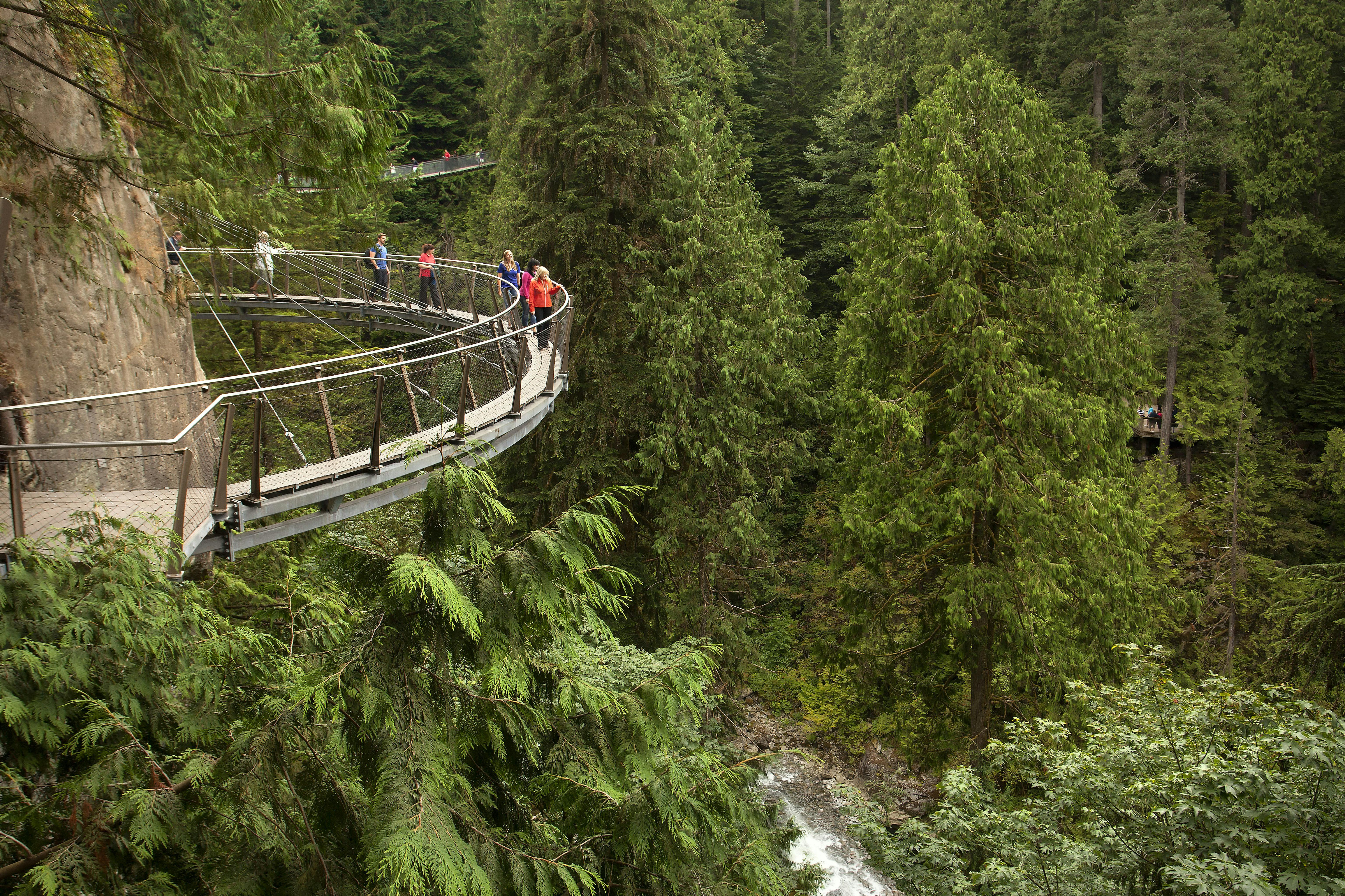 Vancouver City and Capilano Suspension Bridge tour with lunch Musement