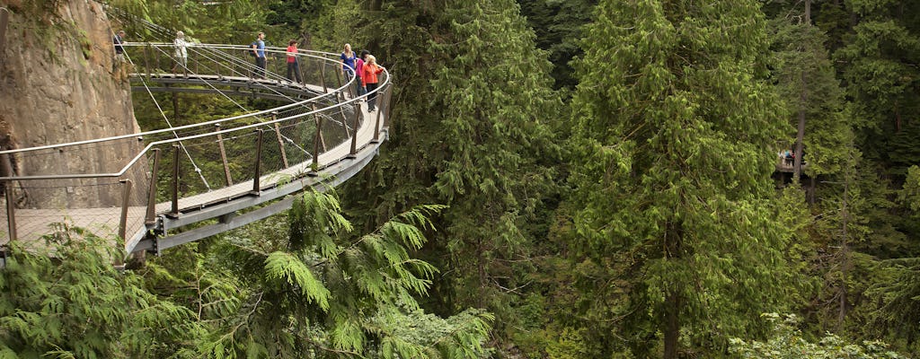 Vancouver City and Capilano Suspension Bridge tour with lunch