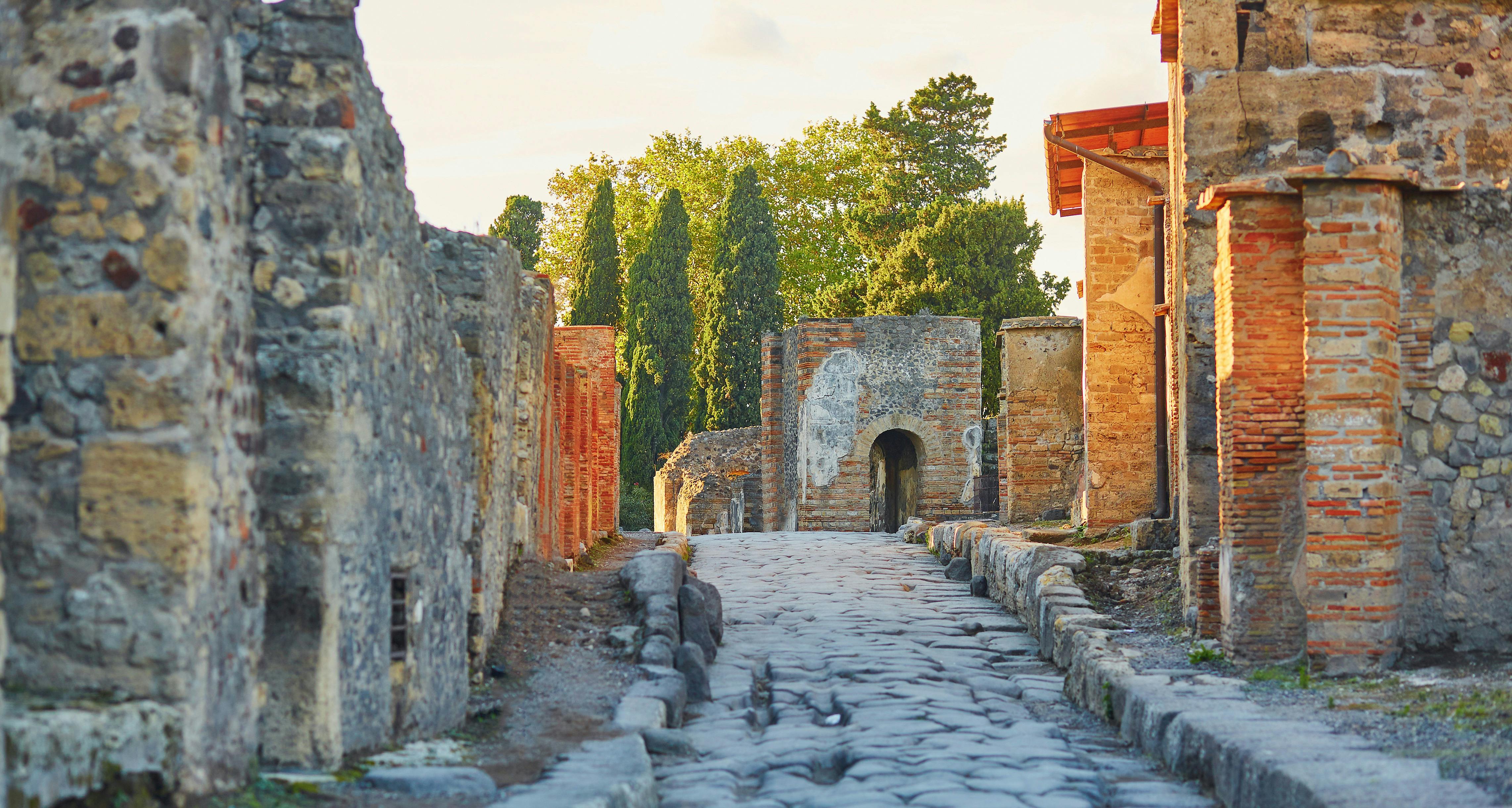 Wandeltour van een hele dag door Pompeii en Napels