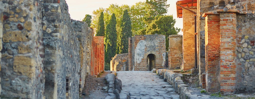 Tour a piedi di un'intera giornata di Pompei e Napoli