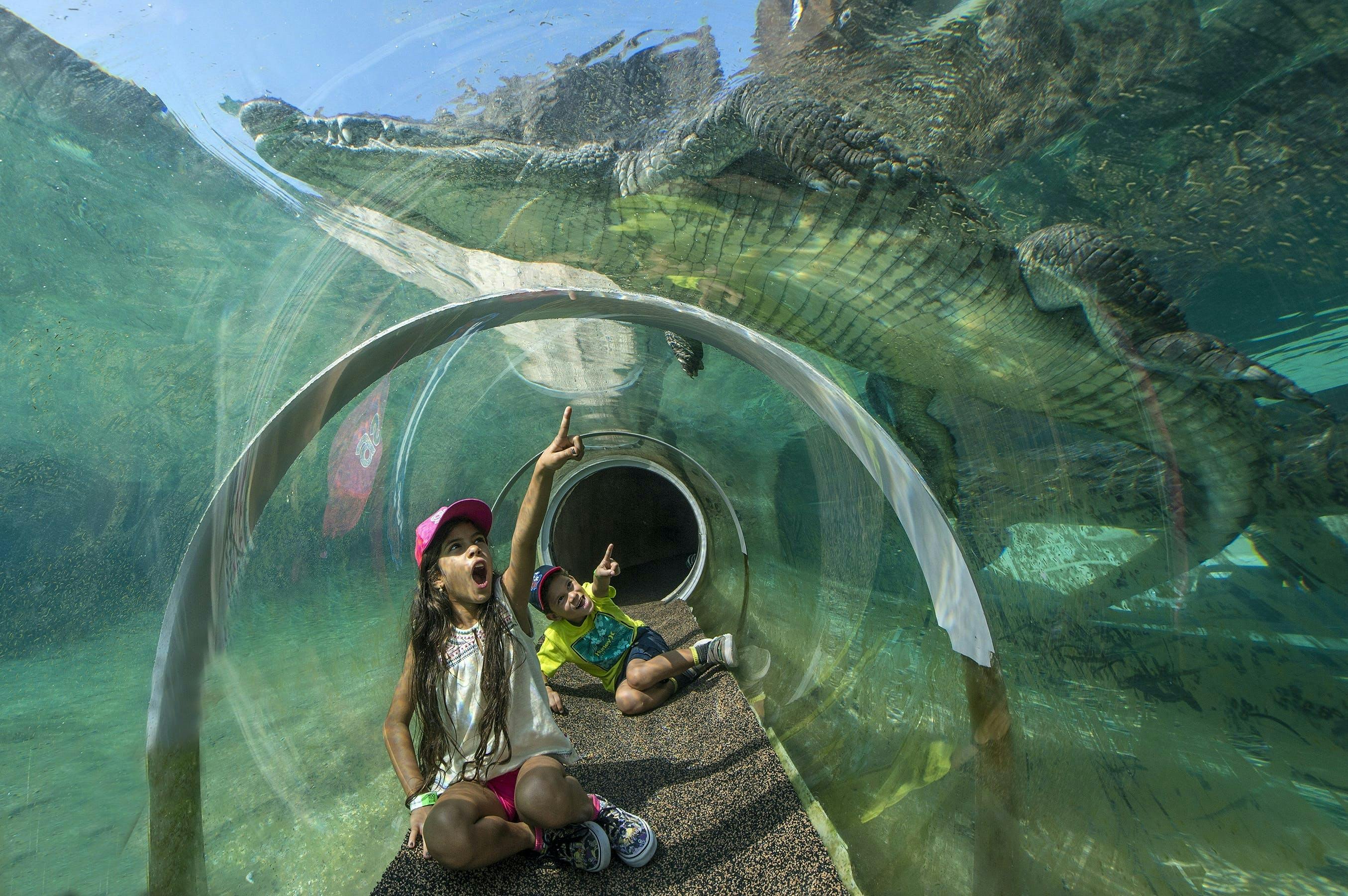 Biglietti d'ingresso generali allo Zoo di Miami o pacchetto cibo