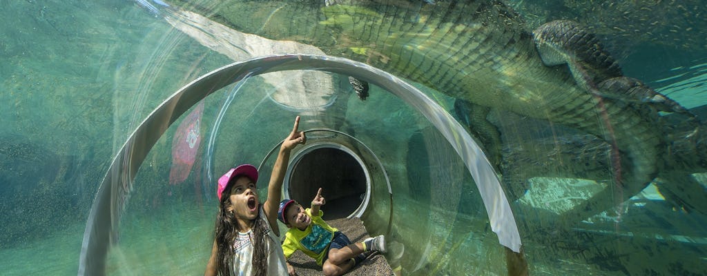 Ingressos gerais para o Zoo Miami ou pacote de alimentação