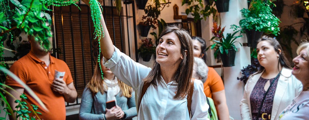 Visita guiada a los Patios de Córdoba