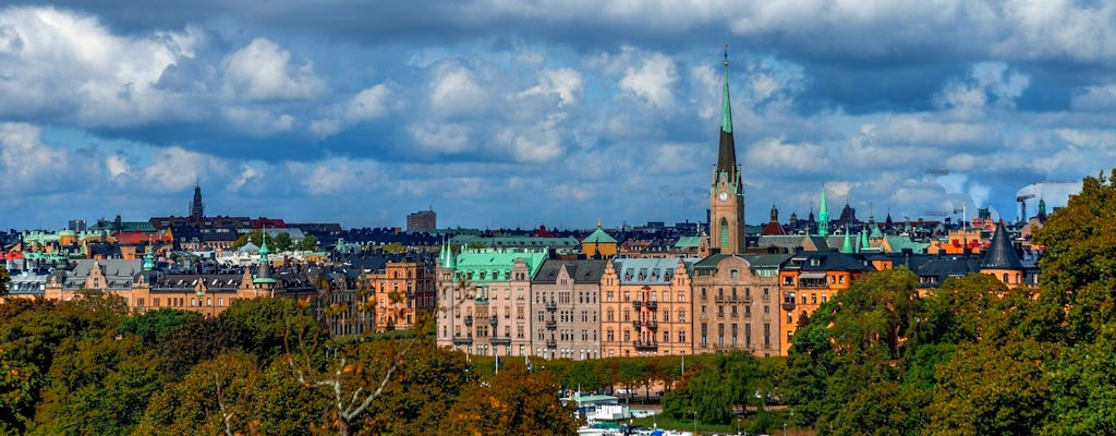 Tour privato a piedi del mondo di Stoccolma e Stieg Larsson