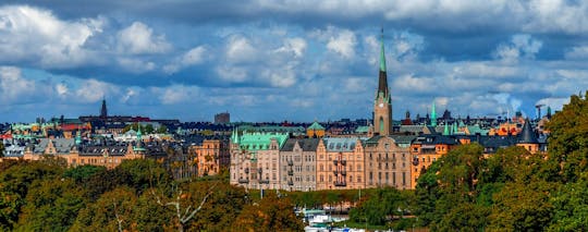 Stockholm and Stieg Larsson's world private walking tour
