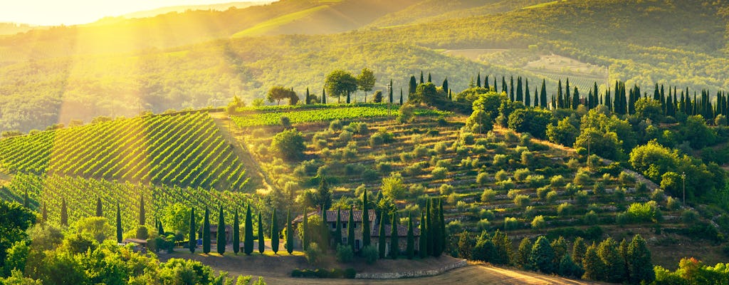 Tour privato della regione vinicola del Chianti da Firenze