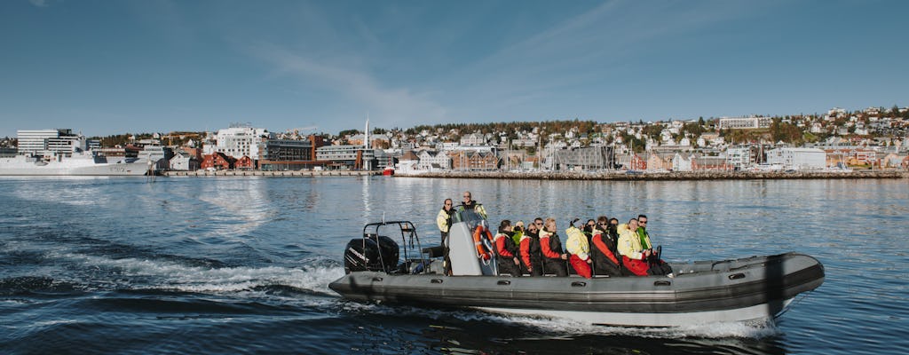 Excursion privée dans le fjord en RIB