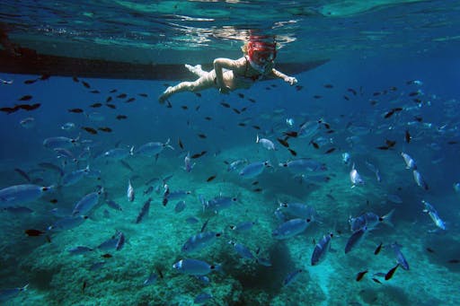 Alcudia Sea Explorer Coast & Caves Parque Natural Levant