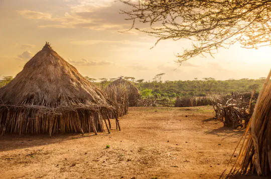 Excursión de medio día al Bosque Sagrado de Kaya Kinondo desde la costa sur de Mombasa