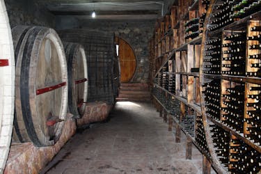 Visita e degustazione della fabbrica del vino Areni