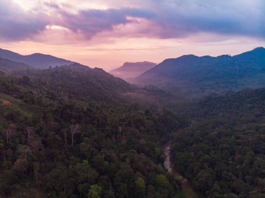 Rezerwat leśny Sinharaja Trek z Colombo