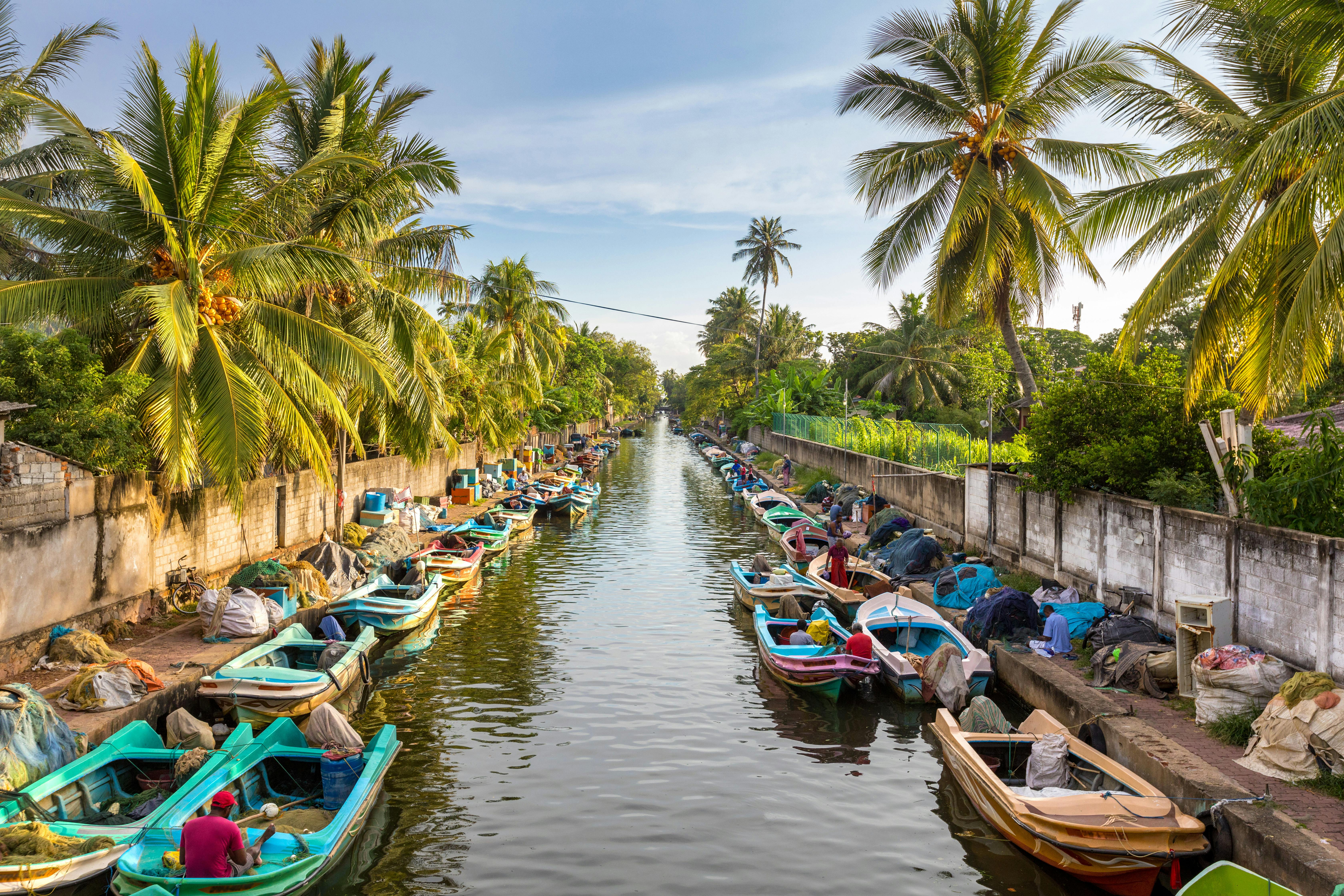 Negombo lagoon boat cruise from Colombo Musement