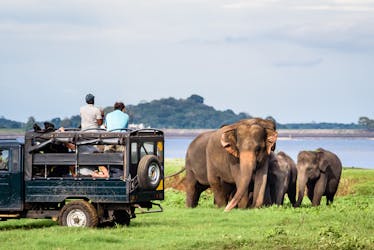 Safári de um dia inteiro no Parque Nacional de Yala saindo de Colombo