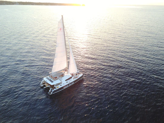 Luxury Sunset Sailing Cruise with BBQ, Cocktails and Hotel Transfers