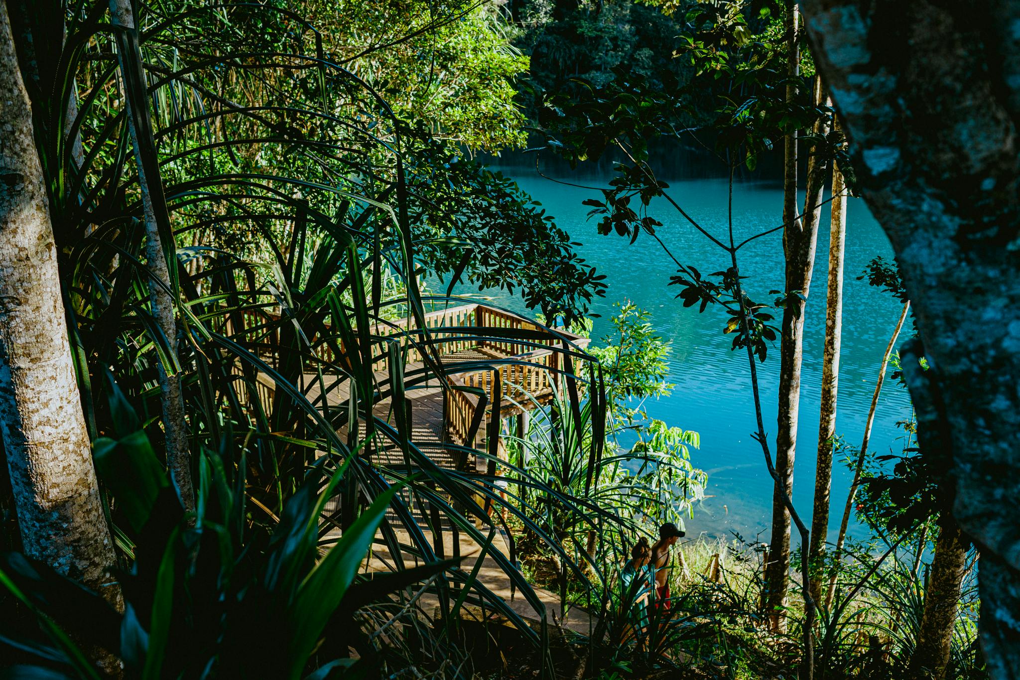 Excursión a las cascadas de Atherton Tablelands y la vida silvestre