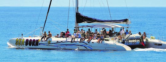 Spektakuläre Madeira-Packtour zu Land und zu Wasser auf einem 4x4 mit offenem Dach und Delfinbeobachtung