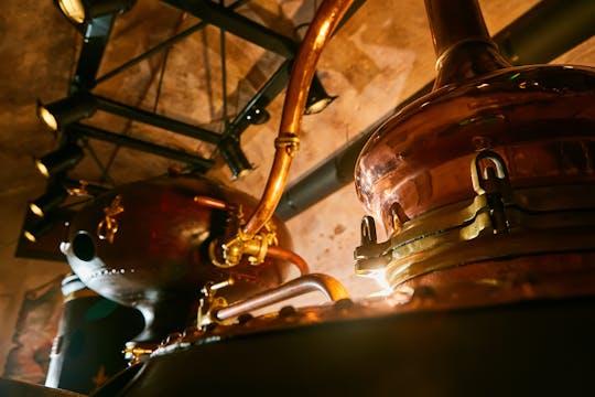 Cognac wijngaarden en distilleerderijen privétour van een halve dag vanuit Charente