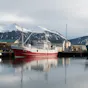 Hofn
