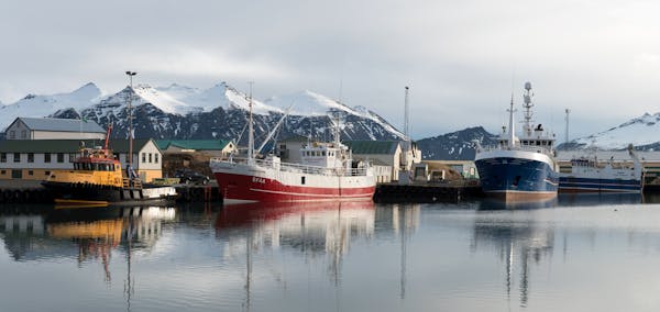 Höfn