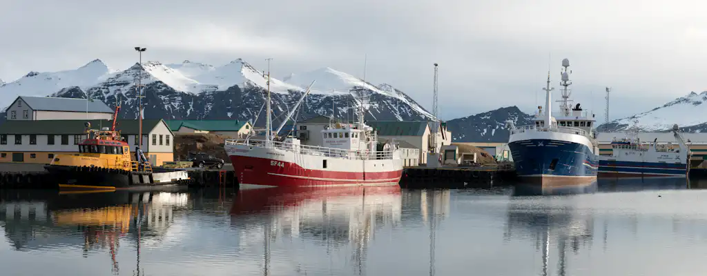 Things to do in Hofn