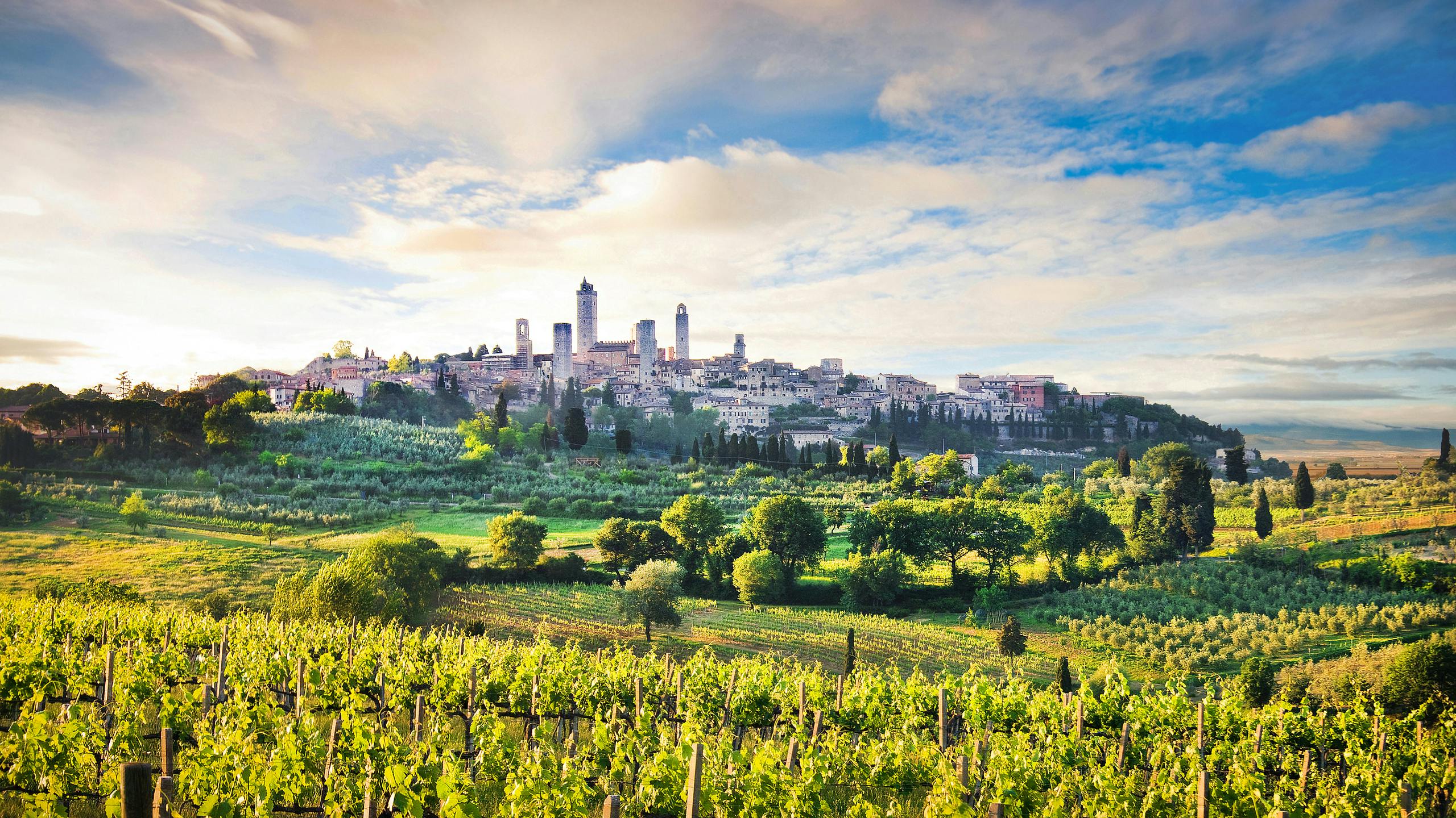 Private day trip to Siena, San Gimignano and Pisa from Florence