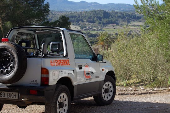 Dragon Discovery 4x4