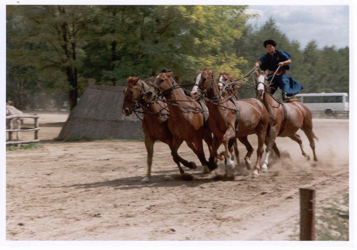 Day-trip to the Kecskemet Puszta including horse show and lunch from Budapest