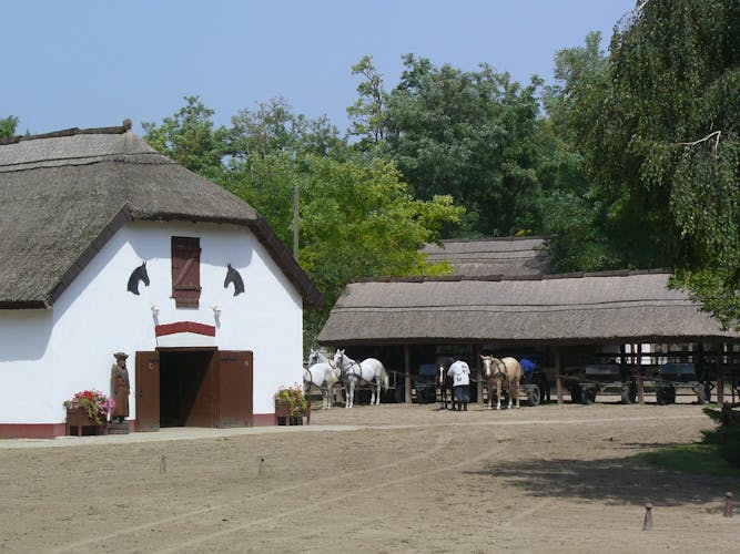 Day-trip to the Kecskemet Puszta including horse show and lunch from Budapest