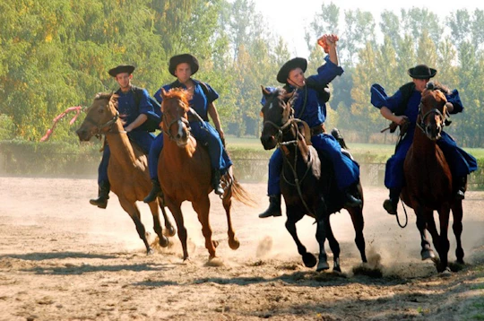Day-trip to the Kecskemet Puszta including horse show and lunch from Budapest