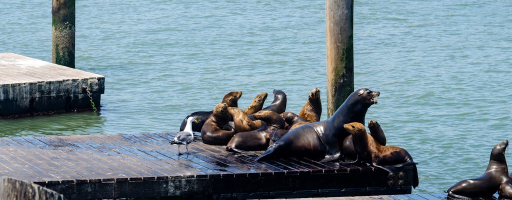 San Francisco bustour met Bay cruise