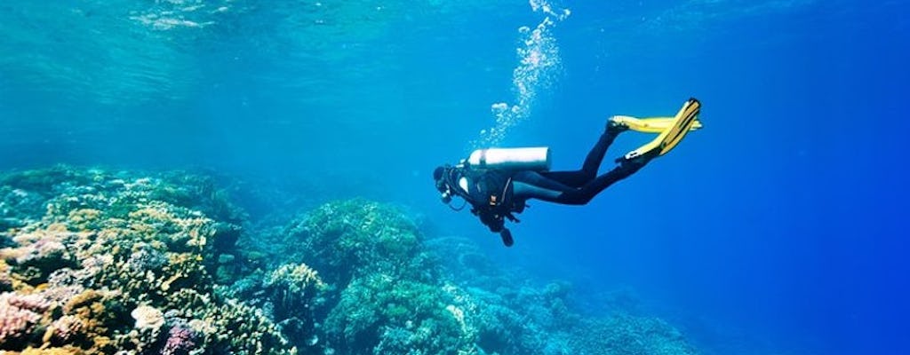 Experiência de mergulho em Kemer com transferência de Antalya