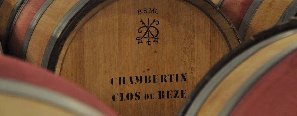 Private full-day tour of the best Grands Crus of Burgundy
