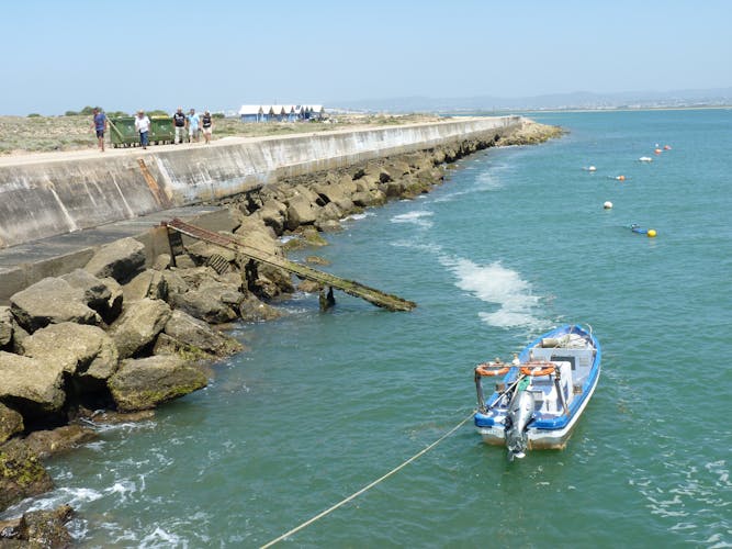 Private half-day boat tour in Ria Formosa