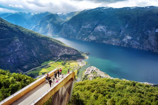 Private trip to canyons and waterfalls with Flåm train