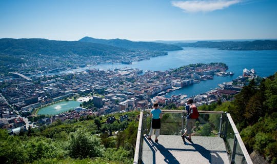 Bergen shore by car private excursion