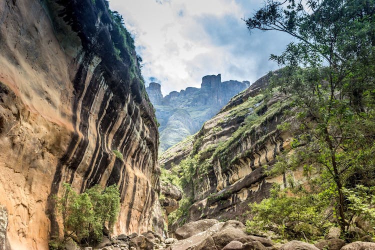 Drakensberg World Heritage full-day tour from Durban