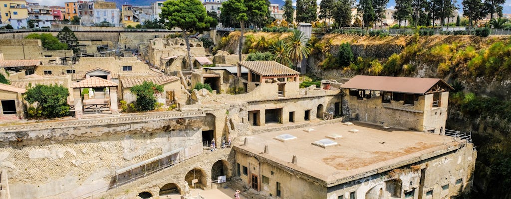 Visita privada a Herculano con un guía local